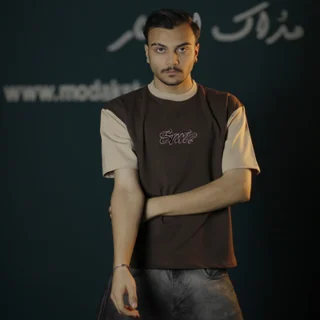 تیشرت دو نخ گلدوزی و تیکه دوزی شده مردانه - عمده-قهوه ای